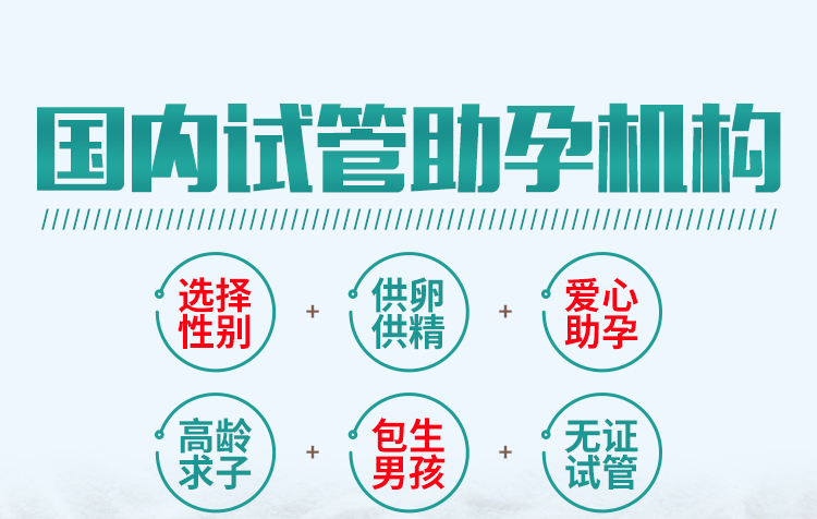 印度代孕-印度商业代孕/新德里代孕价格/印度辅助生殖/印度代孕費用/印度借腹生子/印度同性代孕/印度代孕生子/印度ivf