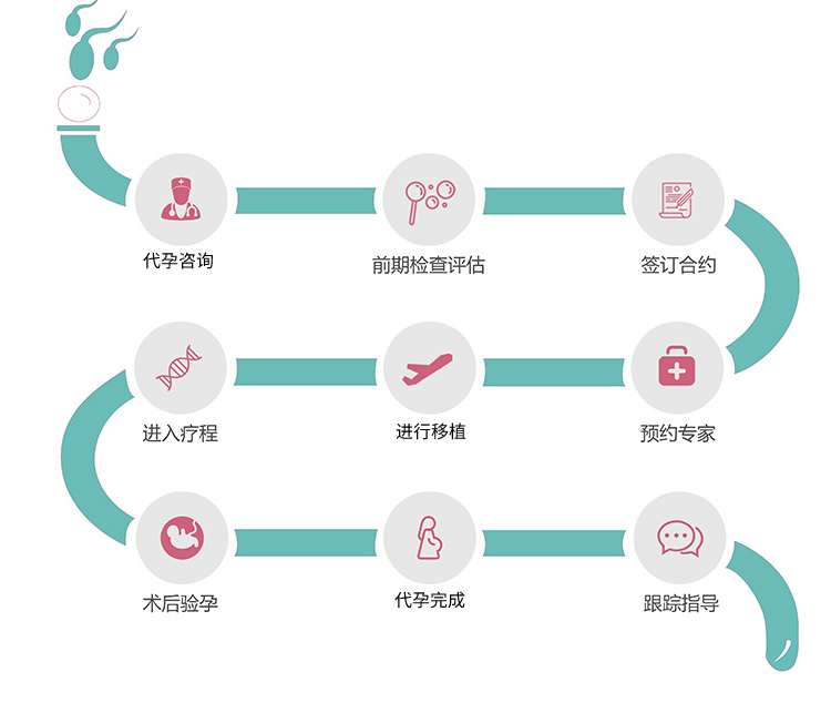印度代孕流程