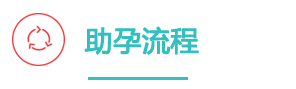 印度代孕流程